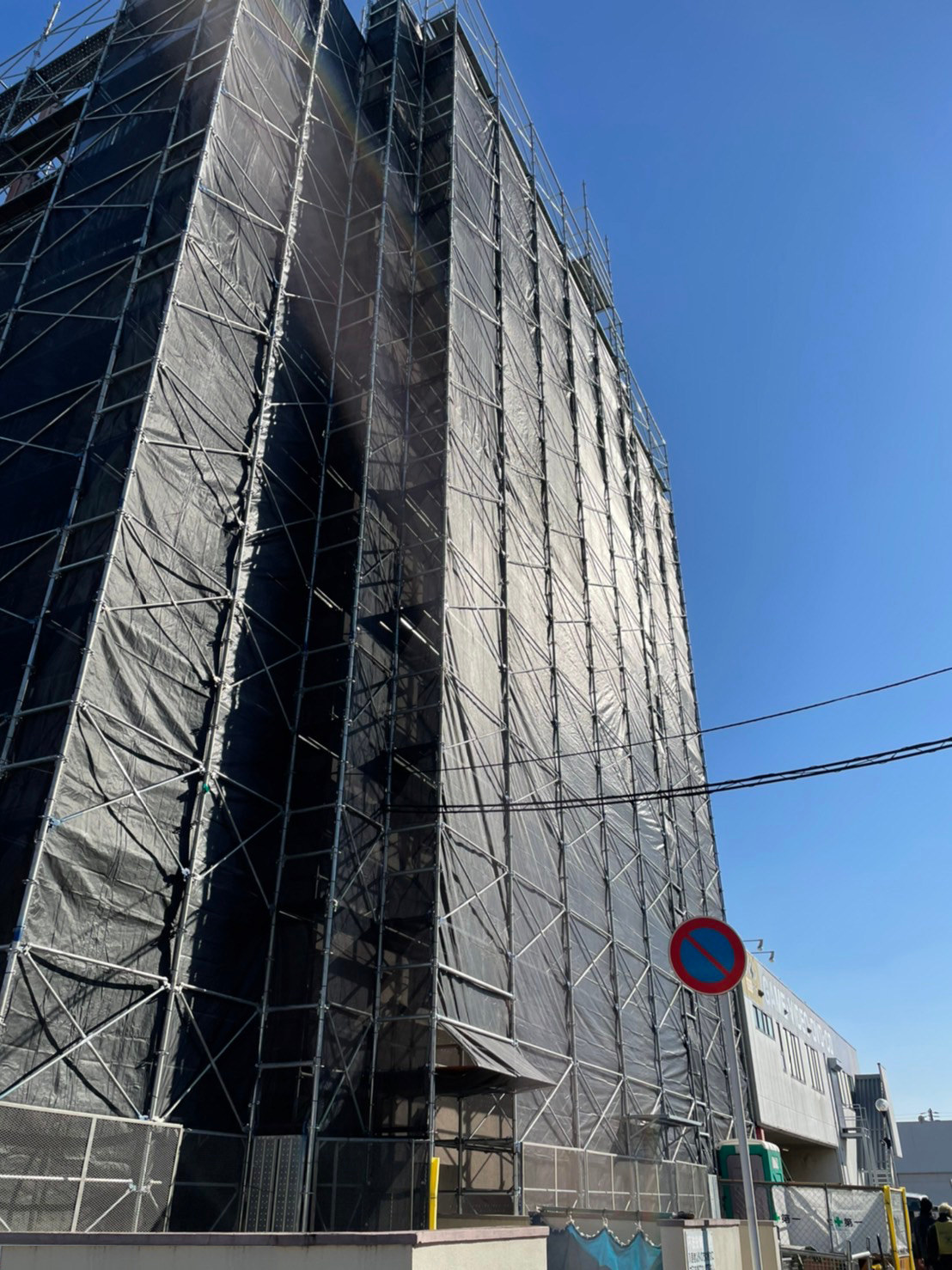 次世代足場　ダーウィン